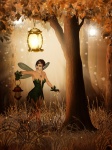 Fairy In Forest Night