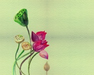 Flower Watercolor Painting
