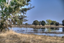 Galt Wetlands