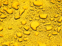 Golden Background Water Droplets