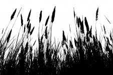 Grass Black Silhouette