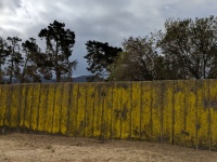 Grunge Yellow Fence