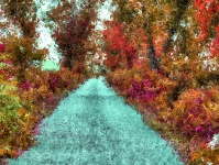 Impressionist Country Road
