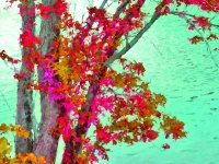 Impressionist Fall Leaves