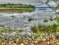 Impressionist Lake