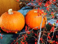 Impressionist Pumpkin Arrangement