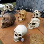 The Flea Market Skulls