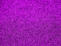 Lilac Bristle Background