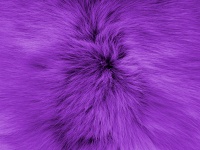 Lilac Soft Fur Background