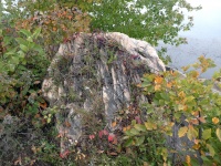 Marble Slab In Autumn