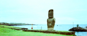 Moai In Rapa Nui Easter Island