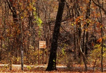 Nature Center Sign In Fall