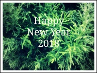 New Year With Green Background