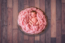 Newborn In A Basket On Whool