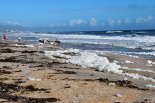 Ocean Beach Debris