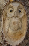 Owl Carving On Tree Log