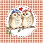 Owl Love Cute Illustration