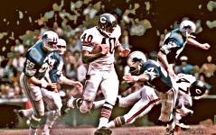 Posterization Of Gale Sayers
