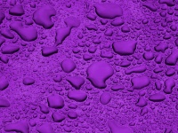 Purple Background Water Droplets