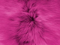Purple Soft Fur Background