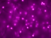 Purple Soft Neon Lit Background