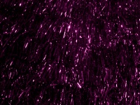 Purple Sparkling Tinsel Background