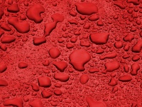 Red Background Water Droplets