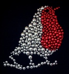Robin Red Breast Bird Design