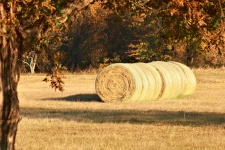 Round Hay Bales In Fall