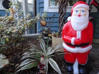 Santa In Backyard