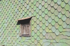 Scaly Wall