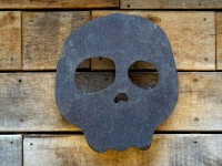 Skull On Wood Background