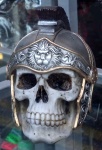 Skull Wearing Warrior Helmet