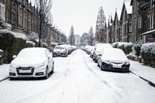 Snow Covered Cars