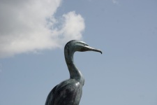 Cormorant Statue