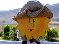 Sunshine Scarecrow Face