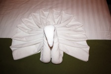 Swan White Towel