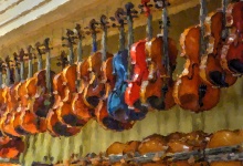 The Violins