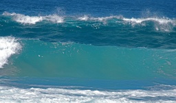 Turquoise Wave Breaking In Ocean