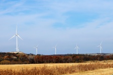Wind Turbines In Fall Countryside