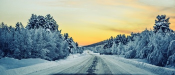 Winter Road Landscape
