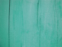 Wood Background Texture Green