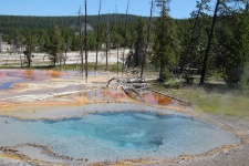 Yellowstone Geyser