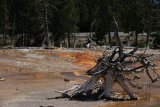 Yellowstone Hot Springs