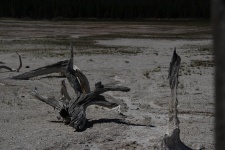 Yellowstone Mud Flat