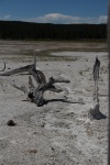 Yellowstone Mud Flat