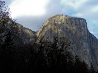 Yosemite Rock Face