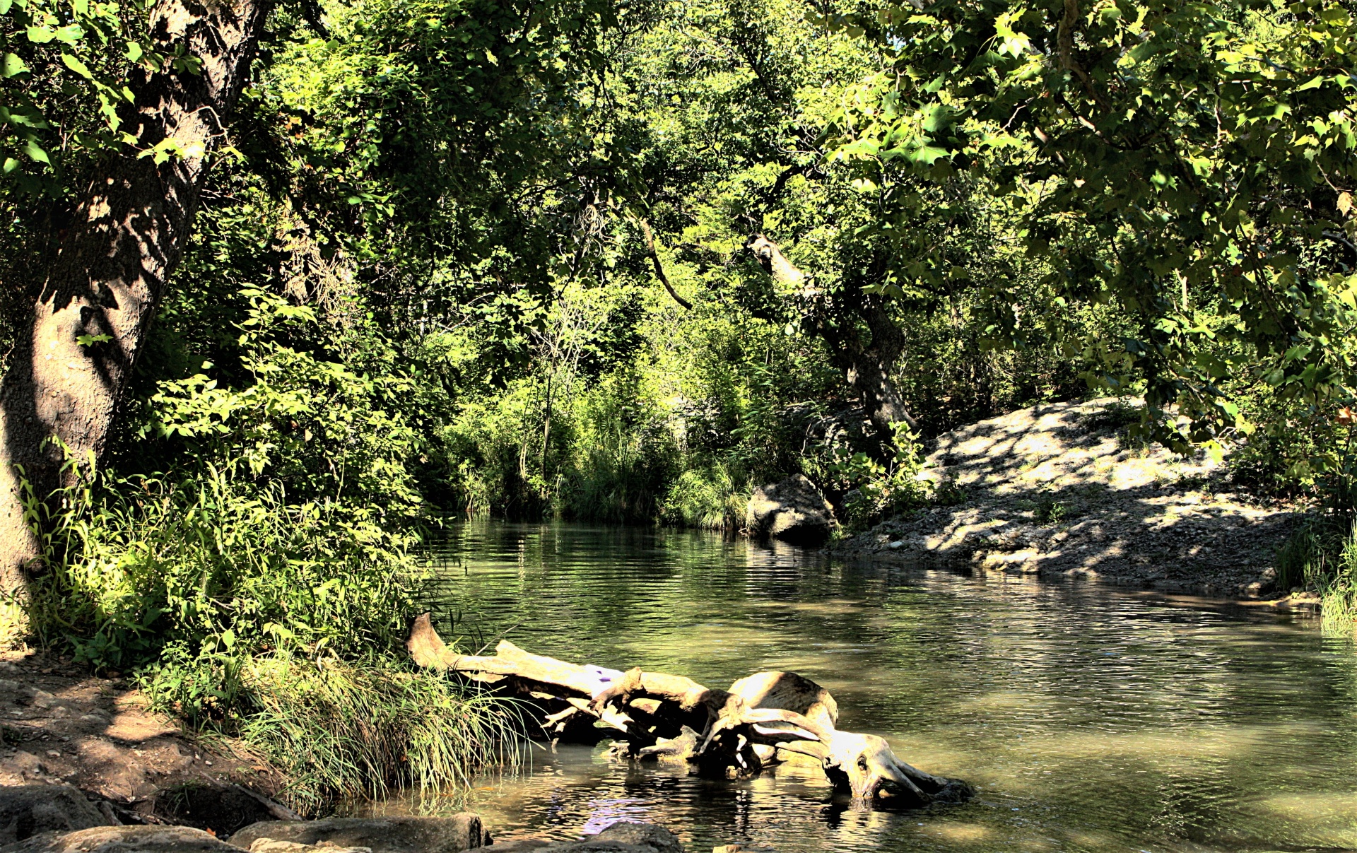 A Tranquil Creek In Summer