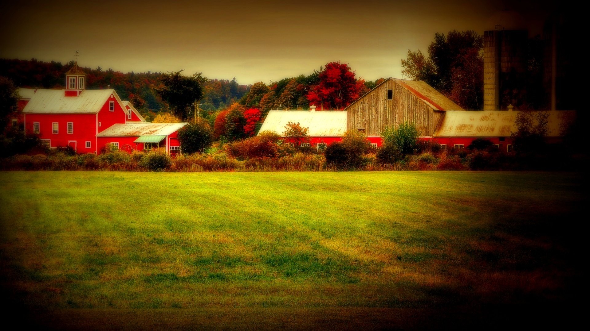 Autumn Farm Landscape