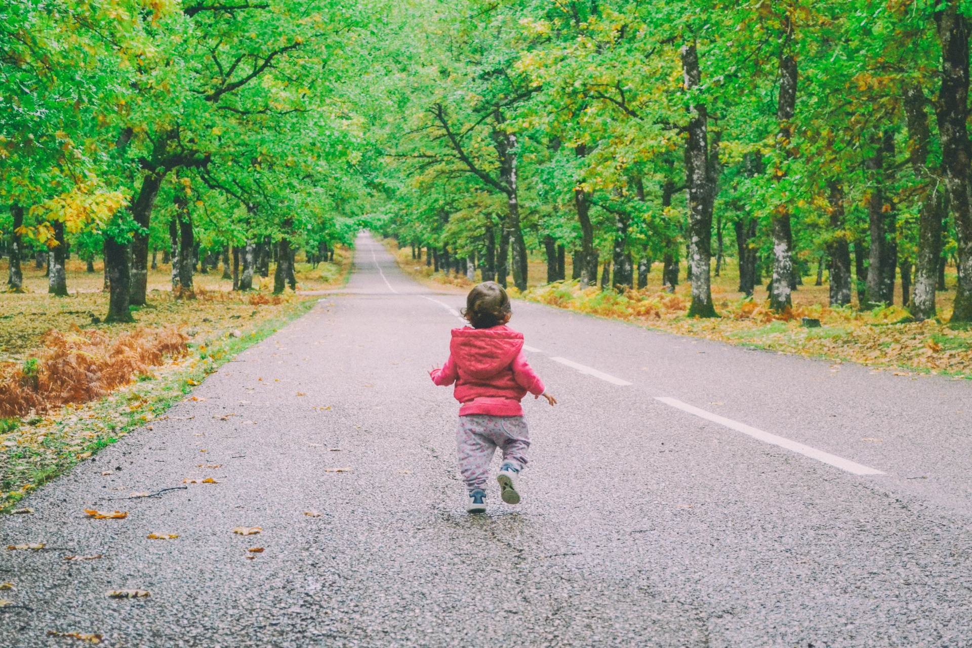 Baby Walking Away On A Forest Road